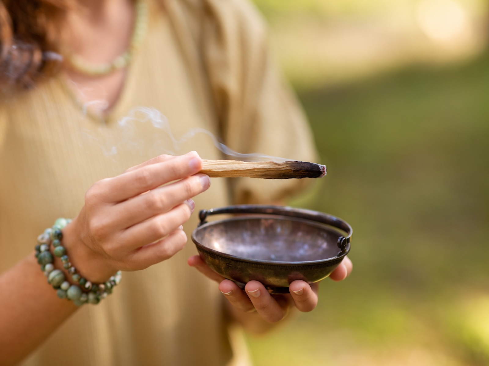 Natural forest landscape representing Earth stewardship and connection